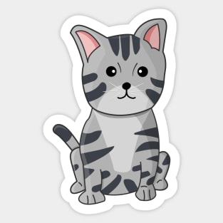 Cute American Shorthair Cat Sticker